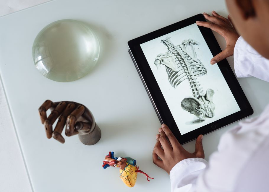 Clinician studying an anatomical illustration on a tablet